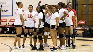 Image result for York University Volleyball Club