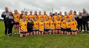 Image result for Shamrocks Hurling & Football Club