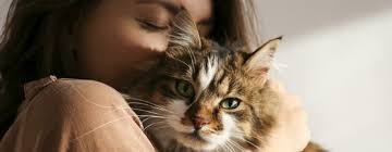 Image result for cat man