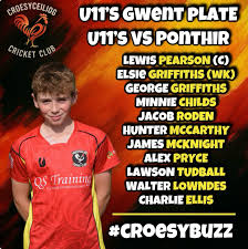 Image result for Croesyceiliog Cricket Club
