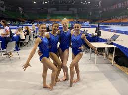 Image result for Aylesbury Gymnastics Club