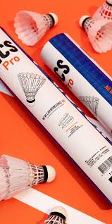 Image result for Flight Path Badminton Club