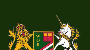 Image result for Widden Old Boys Rfc