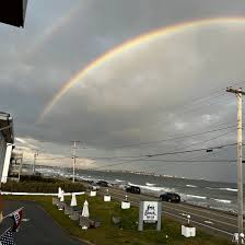 Image result for York University Surf Club