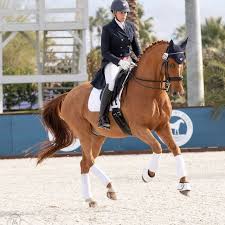 Image result for Fisher Equestrian