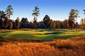 Image result for Hawkhurst Golf Club, Kent