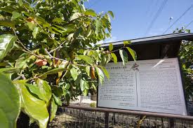 「柿の木利江 ケモノヅメ」の画像検索結果