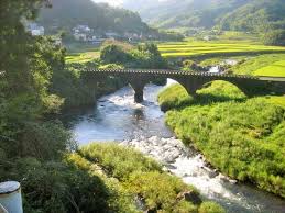 「緒方柚樹」の画像検索結果