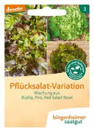 Image result for Pflücksalat