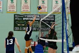 Image result for Netherne Community Amateur Sports Club