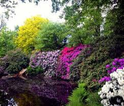 Image result for Arboretum Trompenburg