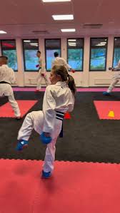 Image result for United Sport Karate