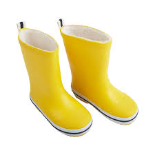 Image result for Gumboots