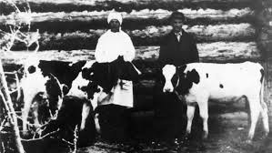 Bildergebnis für Раскулачивани%