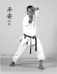 Image result for Inyo Karate Do Ninbukan