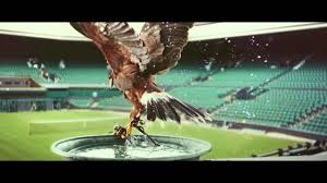 Image result for Wimbledon Hawks