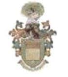 Image result for Egham Town Fc