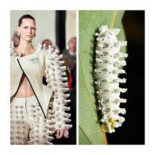 Attēlu rezultāti vaicājumam “Diderma globosum sessile”