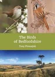 Image result for England Staffordshire Birding Club