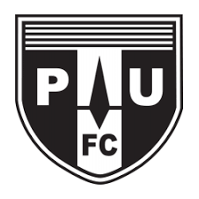 Image result for Ponteland Netball Club