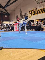 Image result for Utf Jaguar Tkd
