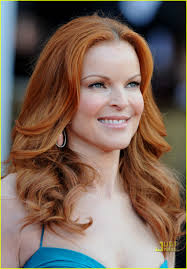 Image result for Silver Cross Dazzle Marcia Cross