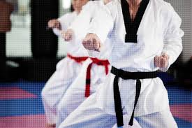Image result for Seiki Juku Karate Club
