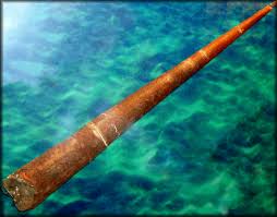 Attēlu rezultāti vaicājumam “Endoceras”