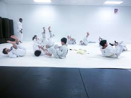 Image result for Derwent Jujitsu Academies