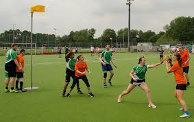Image result for Castle Korfball Club
