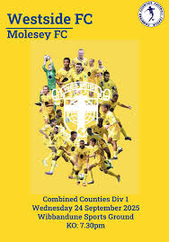 Image result for Molesey Juniors Football Club