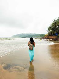 Image result for goa beaches