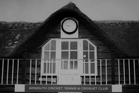 Image result for Over Stowey Cricket Club