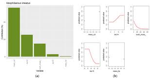 Attēlu rezultāti vaicājumam “Neophilaenus lineatus”