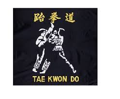 Image result for Wantage TAGB Tae Kwon-Do