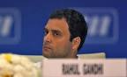 A way of life? A beehive? Rahul Gandhis reflections on Congress.