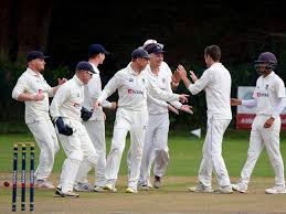 Image result for Alton Cricket Club