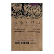 Attēlu rezultāti vaicājumam “Diplotaxis muralis fruit”