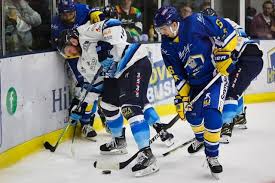 Image result for Leeds Sharks