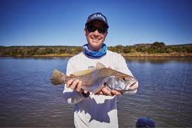 Image result for Argyrosomus coronus