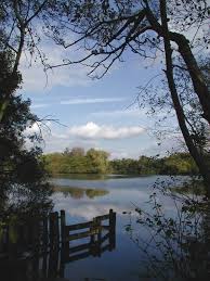 Image result for Drax Cc