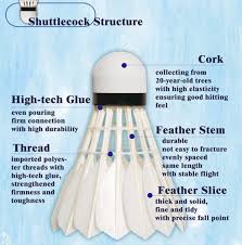 Image result for Flukey Feathers Badminton Club