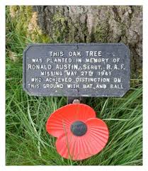 Image result for Swyncombe Cricket Club