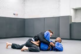 Image result for Dallo Martial Arts