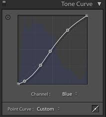 Image result for Curves