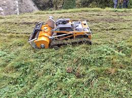 Image result for roboflail tehron