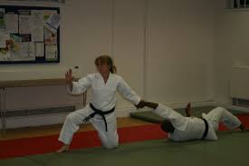 Image result for London Aikido Club