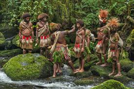 Image result for tribe