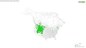 Attēlu rezultāti vaicājumam “Hyoscyamus niger fruit”