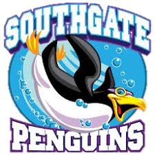 Image result for Grimsby Penguins Swimming Club